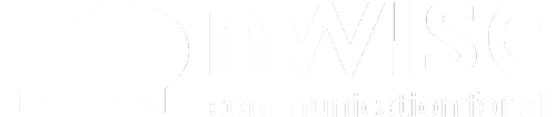 nWise Logo